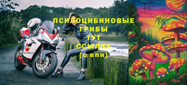 ешки Лагань