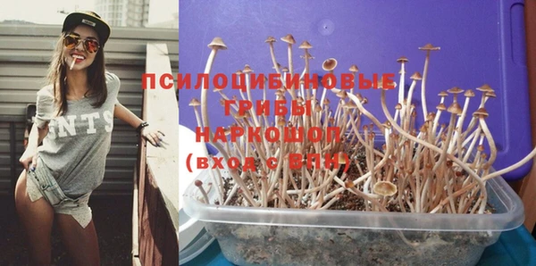 тгк Ладушкин