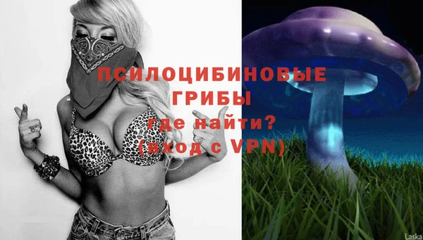 тгк Ладушкин