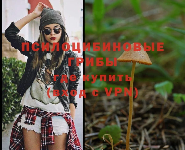 эйфоретик Лабытнанги