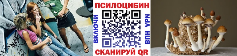 OMG вход  Железногорск  Галлюциногенные грибы мухоморы 